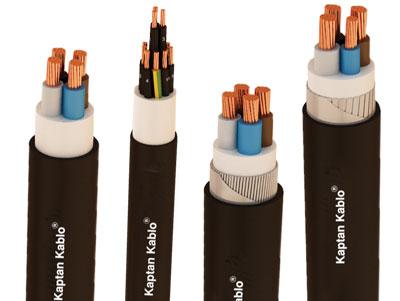 <p>PVC yalıtkanlı güç kabloları, mekanik zorlanmaların olduğu veya olmadığı yerlerde şebeke ve güç kablosu olarak kullanılır.</p>
